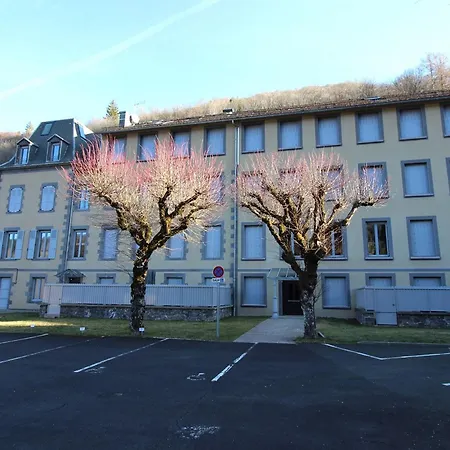 Apartment F2 De 28m² Avec Parking Prive, Wifi Et Ascenseur, A 200m Des Thermes Au Mont-dore. - Fr-1-415-68